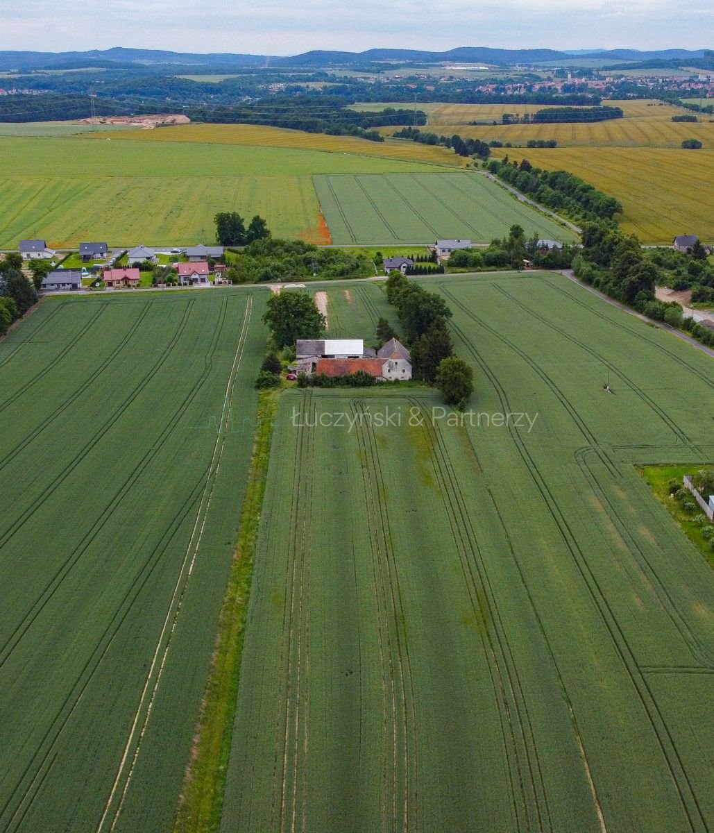 Działka 7,5 ha z domem i zabudowaniami - potencjał na biznes polecam Nowa Wieś Złotoryjska  74 819m2 Foto 1
