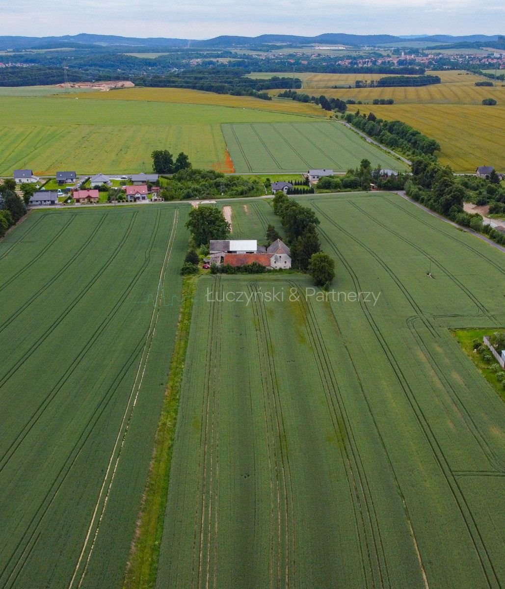 Działka siedliskowa na sprzedaż Nowa Wieś Złotoryjska  134 231m2 Foto 2