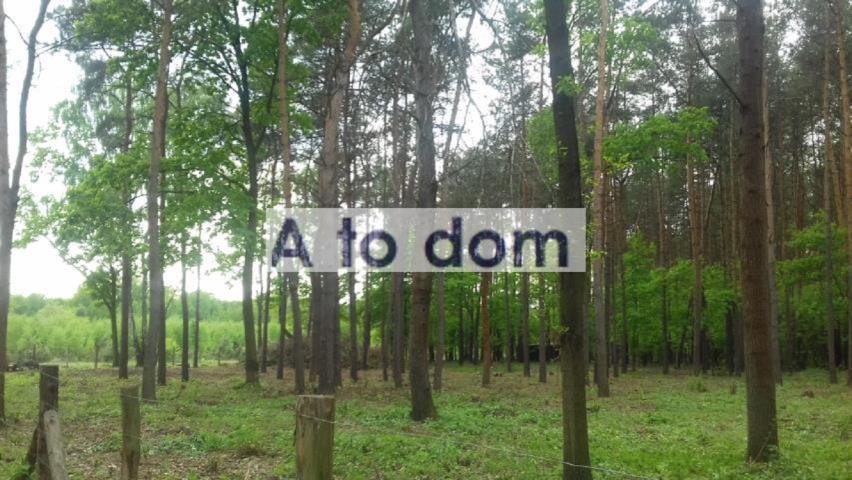 Działka 8 296 m² z mediami i lasem w Kobyłce Kobyłka  8 296m2 Foto 1