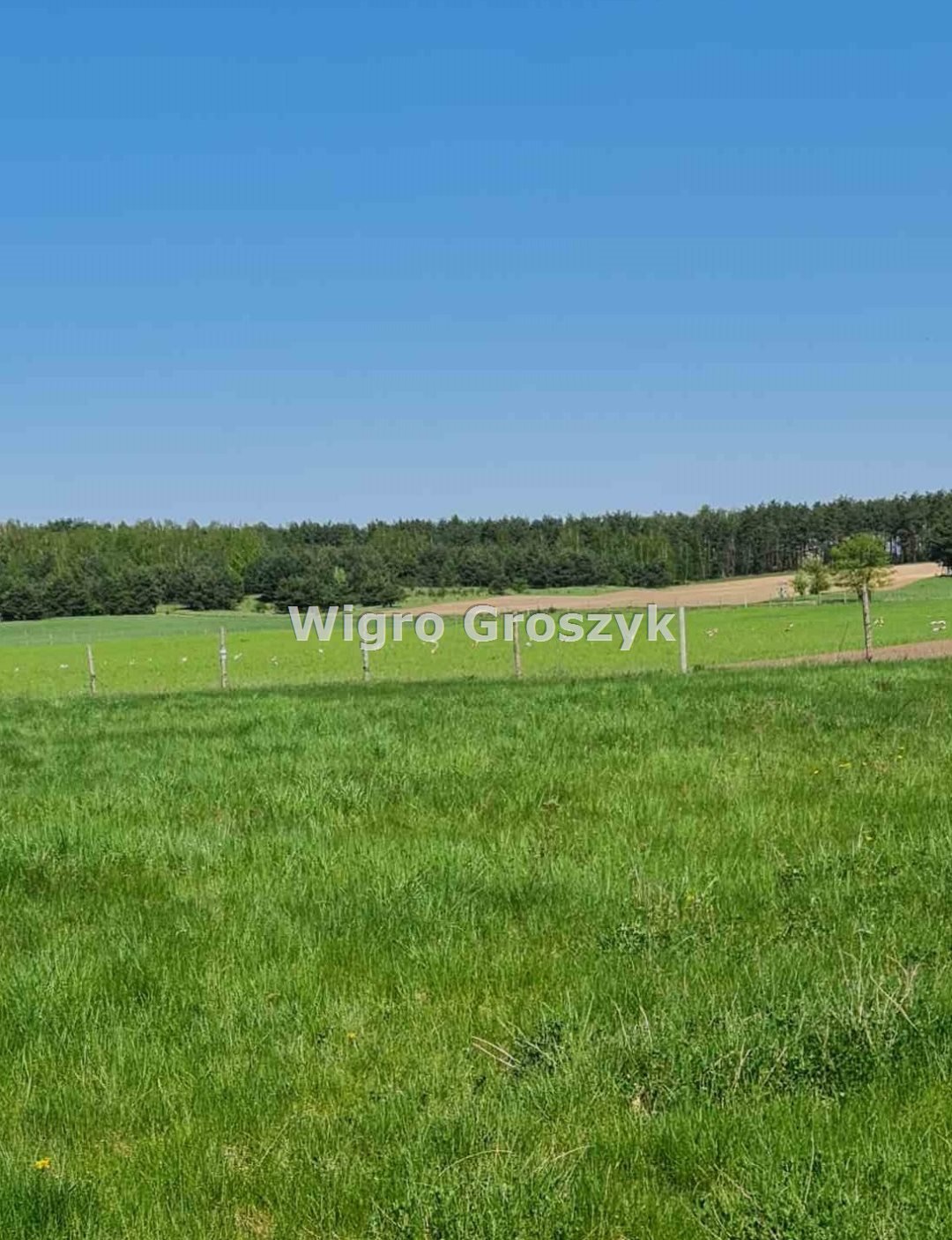 Działka rekreacyjna na sprzedaż Kwik, Kwik  3 000m2 Foto 3