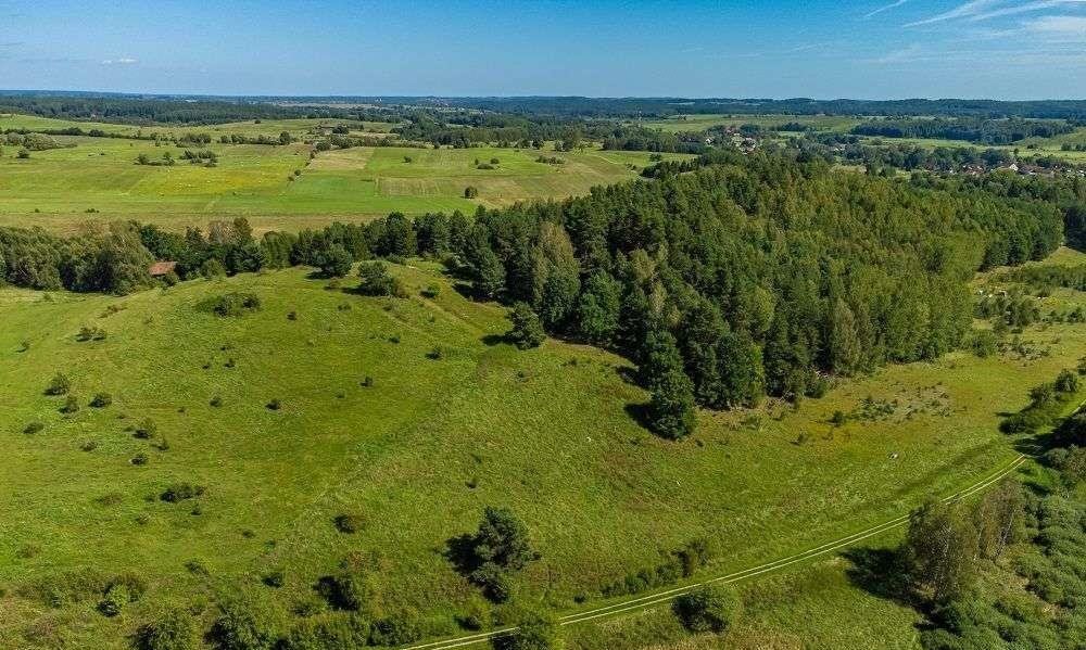 Działka siedliskowa na sprzedaż Łaniewo  1 806m2 Foto 9