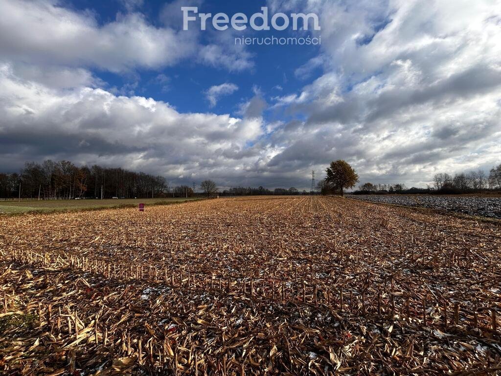 Działka rolna na sprzedaż Smolice, Przyległa  5 920m2 Foto 3