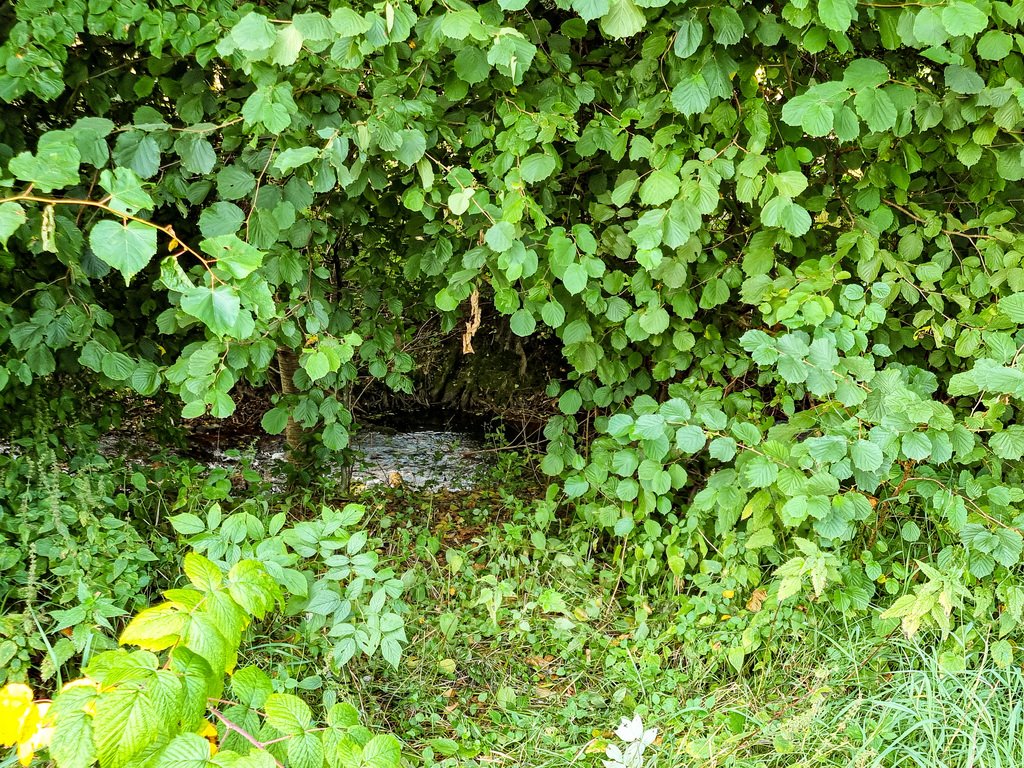 Działka inna na sprzedaż Wilkanów  1 500m2 Foto 7