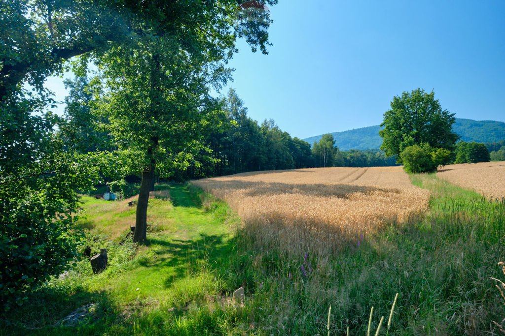 Działka rolna na sprzedaż Czaniec  4 082m2 Foto 11