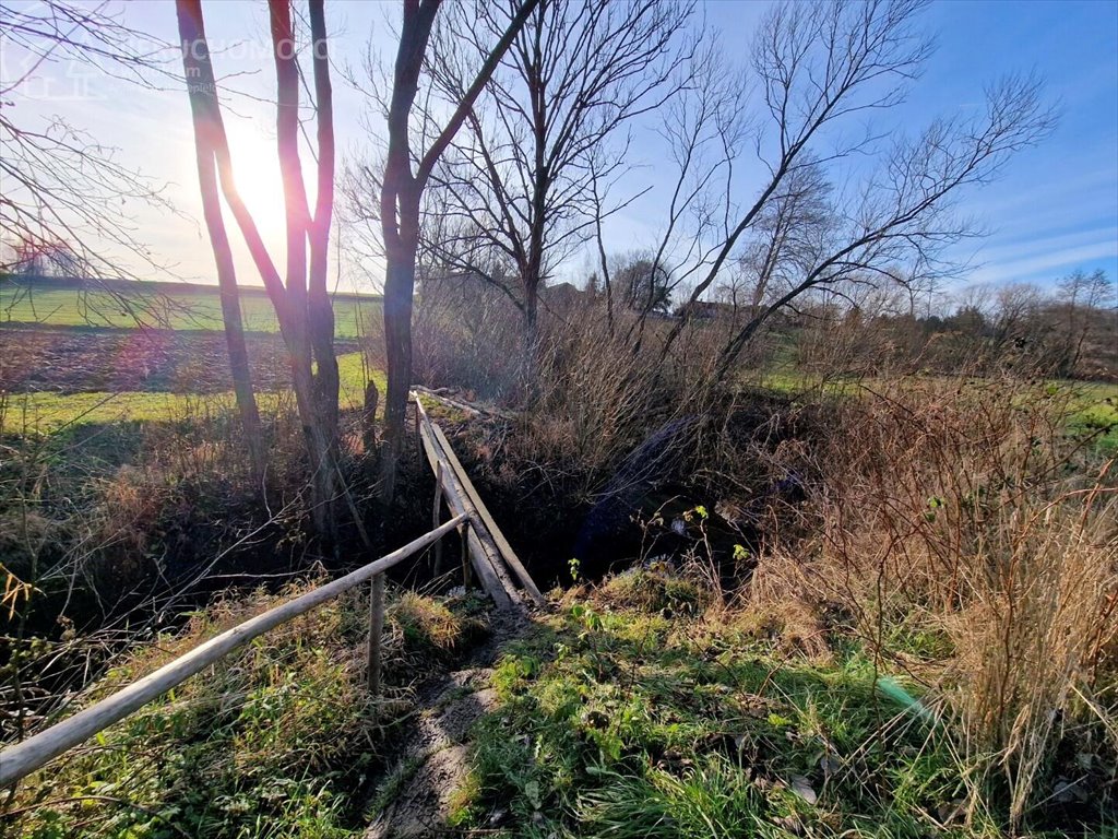 Działka budowlana na sprzedaż Sitnica  10 602m2 Foto 12