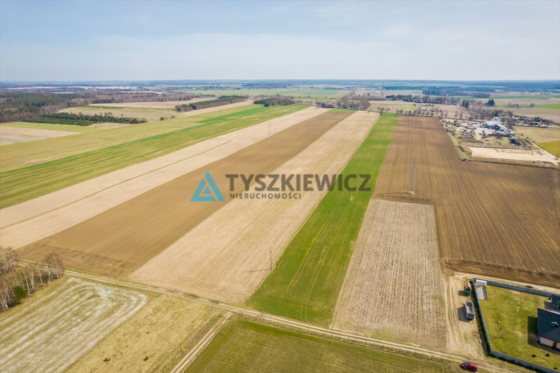 Działka rolna na sprzedaż Stara Dąbrowa  60 000m2 Foto 2