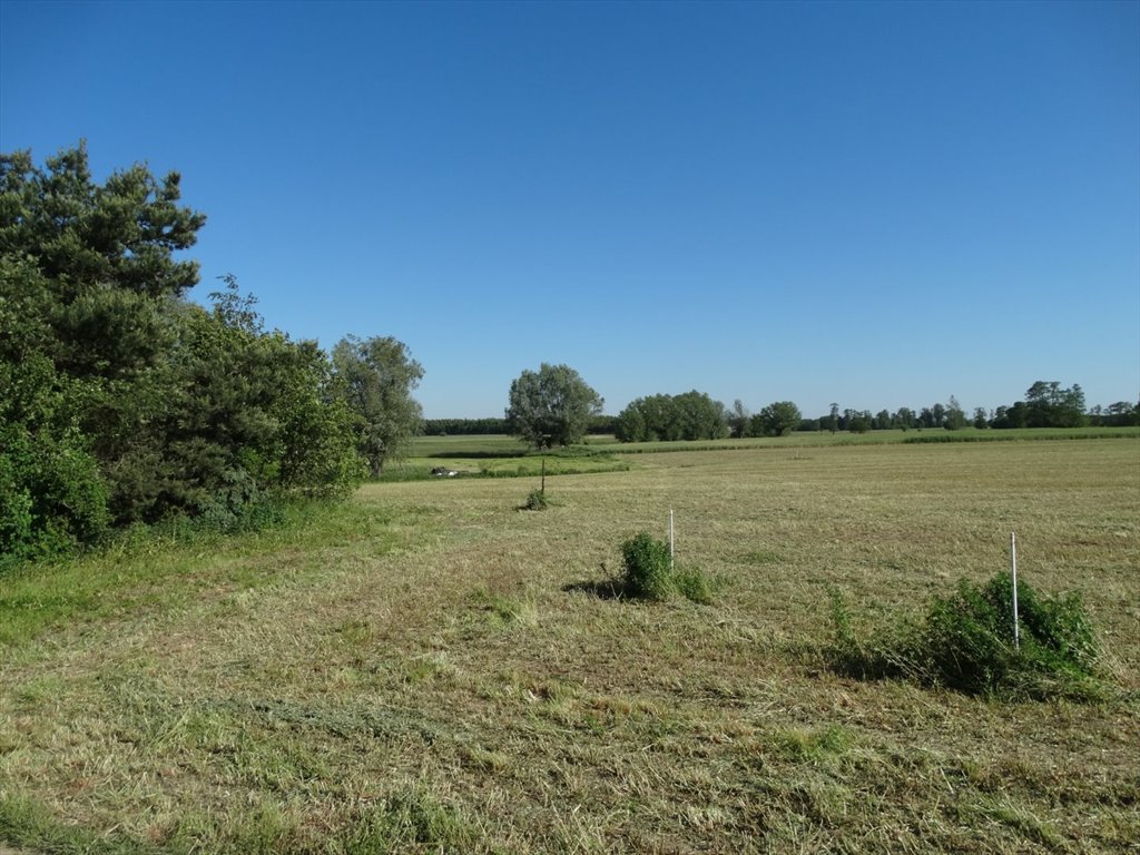 Działka rolna na sprzedaż Spądoszyn  3 000m2 Foto 4