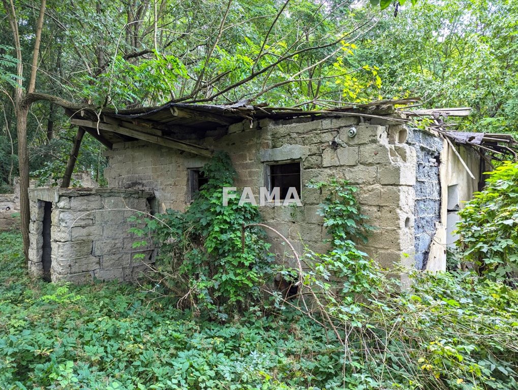 Działka budowlana na sprzedaż Michalin  5 793m2 Foto 6