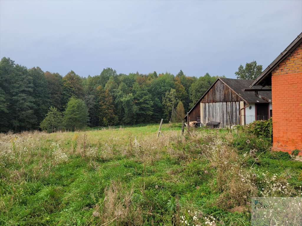 Działka budowlana na sprzedaż Janowice, Janowicka  2 167m2 Foto 6