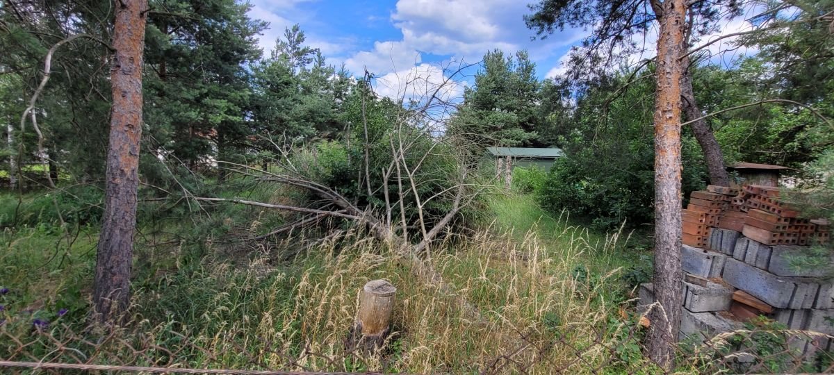 Działka budowlana na sprzedaż Kazuń-Bielany, Kazuń Bielany  1 216m2 Foto 12