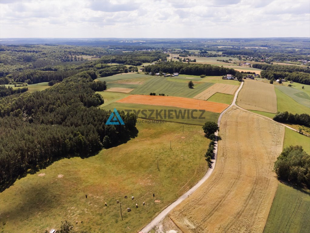 Działka siedliskowa na sprzedaż Milwino, Rolnicza  3 111m2 Foto 3