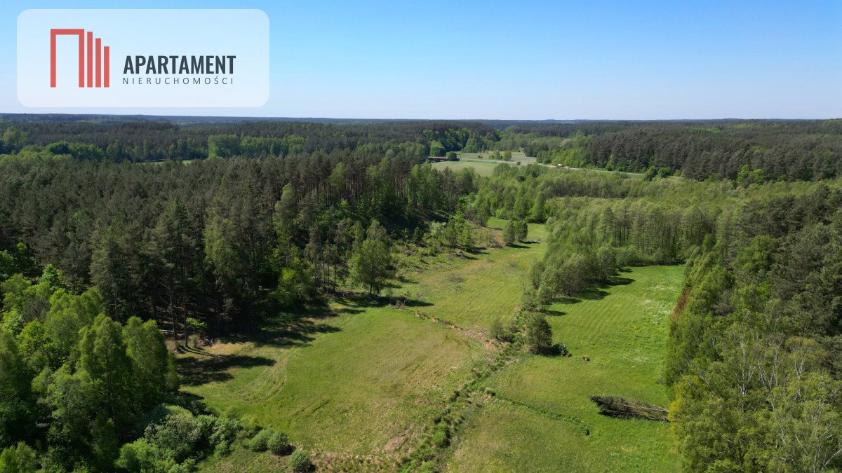 Działka budowlana na sprzedaż Borzechowo  46 200m2 Foto 6