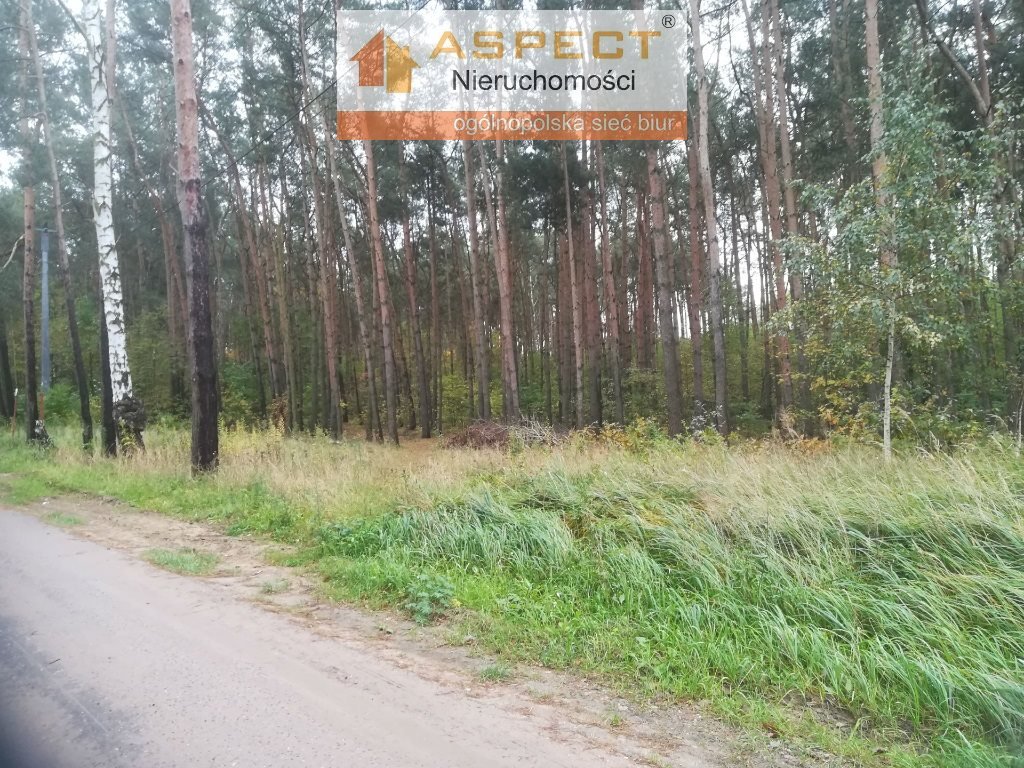 Działka leśna na sprzedaż Liszyno  1 740m2 Foto 3
