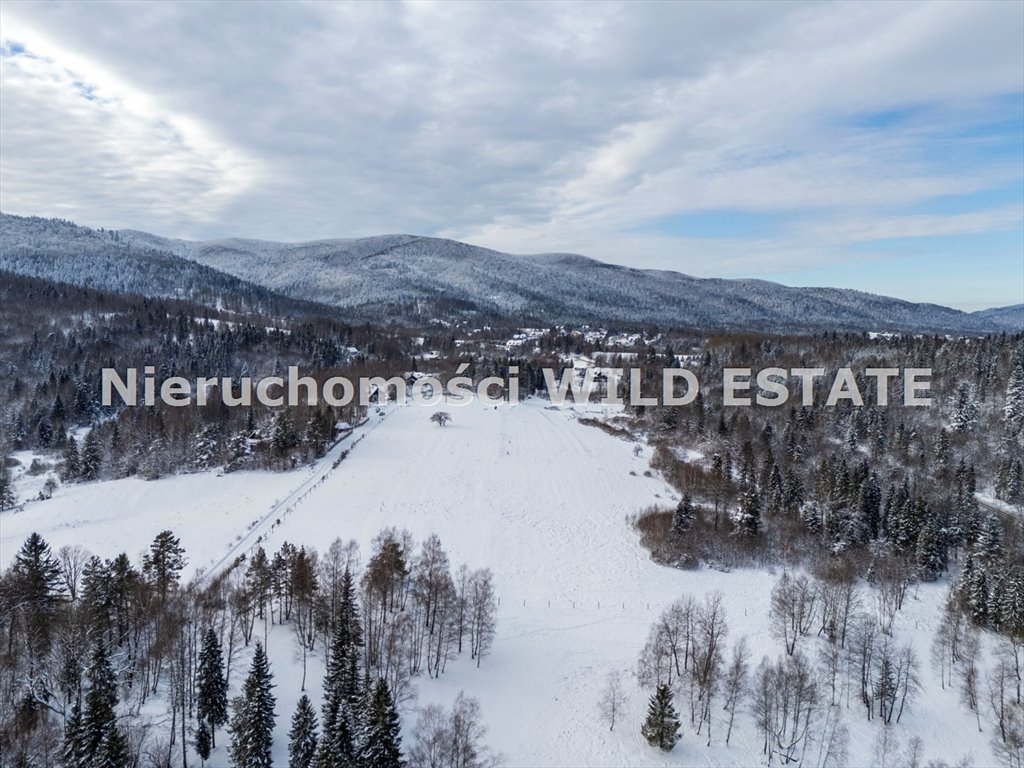 Działka inna na sprzedaż Cisna, Strzebowiska  68 700m2 Foto 4