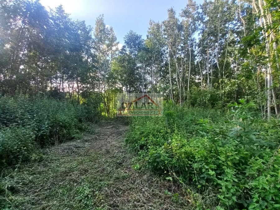 Działka rolna na sprzedaż Czersk, Tatary  18 200m2 Foto 10