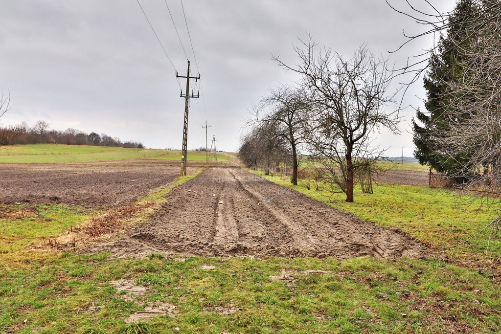 Działka inna na sprzedaż Siedliszcze  2 310m2 Foto 3