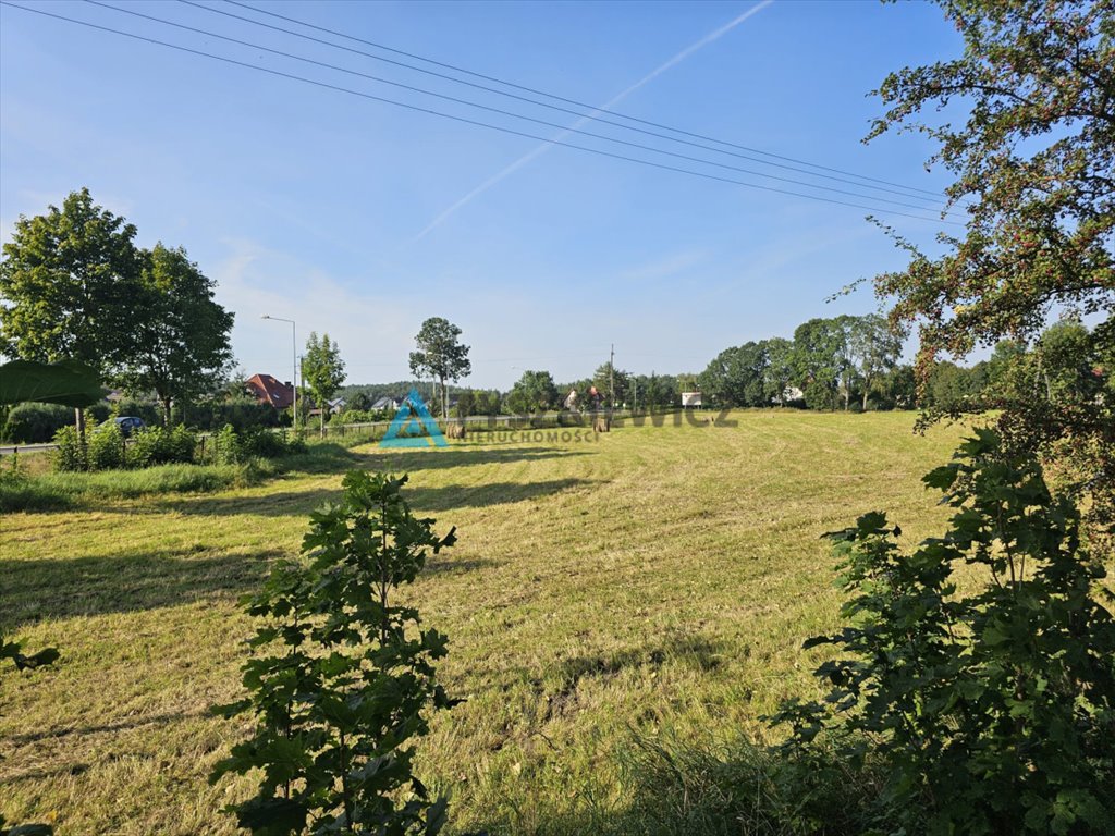 Działka budowlana na sprzedaż Dąbie  16 000m2 Foto 8