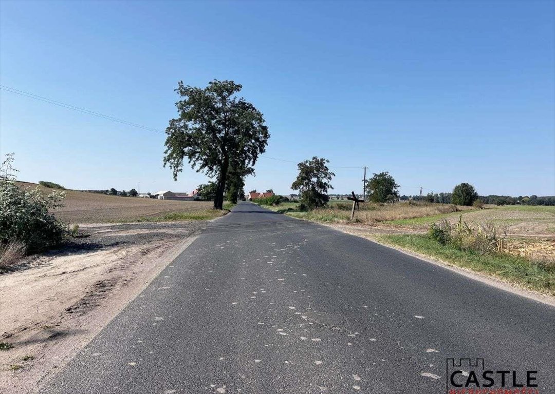 Działka budowlana na sprzedaż Gostyń  56 000m2 Foto 13