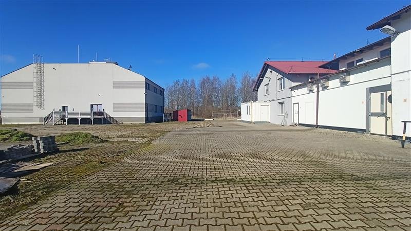 Lokal użytkowy na sprzedaż Łeba, Wspólna  3 232m2 Foto 4