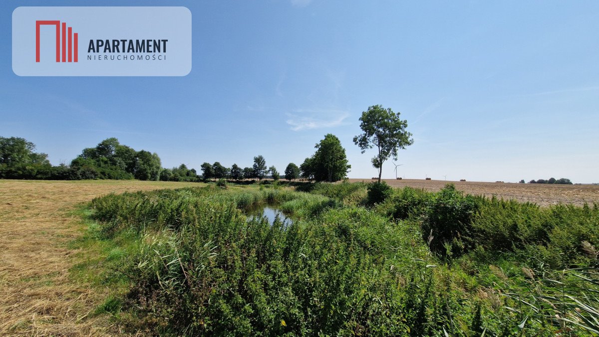 Działka siedliskowa na sprzedaż Słębowo  3 000m2 Foto 3