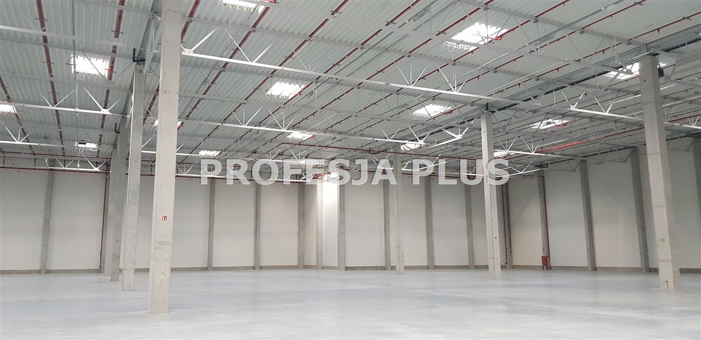 Nowoczesny magazyn 8 000 m2 z biurami i ochroną Katowice  8 000m2 Foto 1