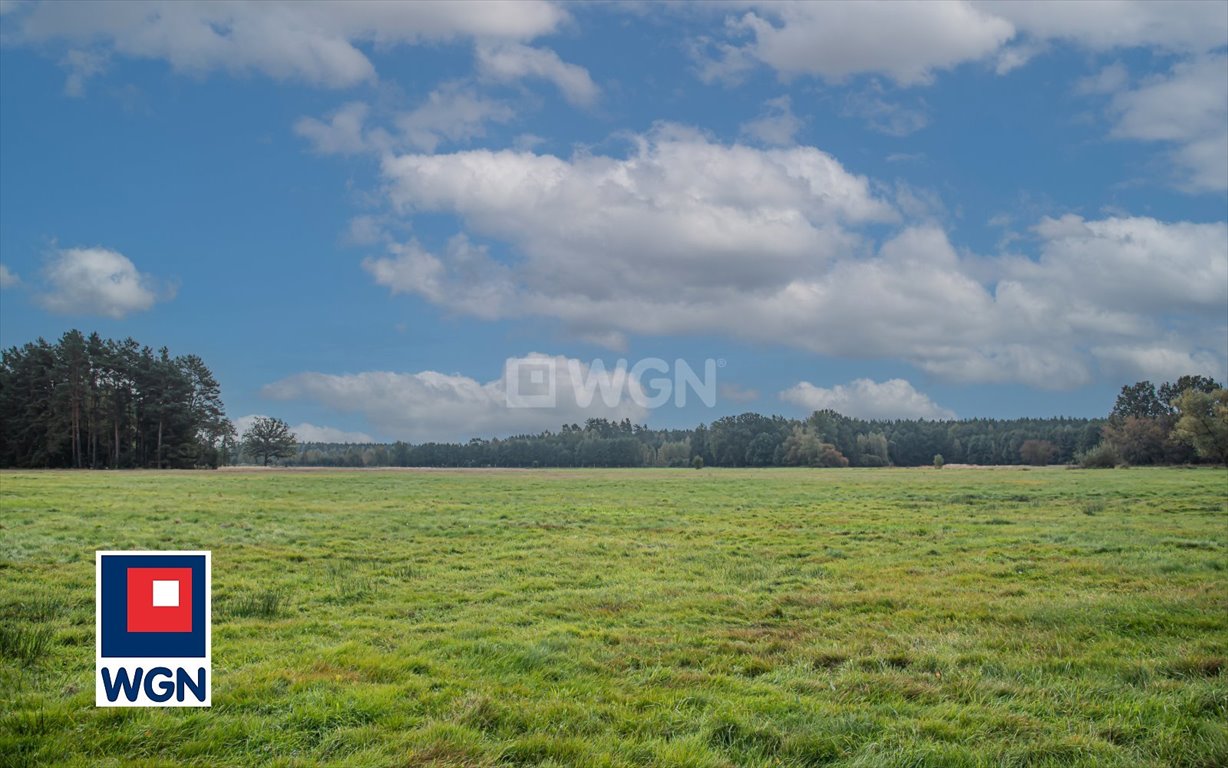 Działka rolna na sprzedaż Ołobok, centrum  91 500m2 Foto 5