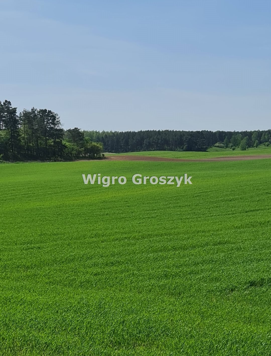 Działka rekreacyjna na sprzedaż Kwik, Kwik  2 000m2 Foto 13