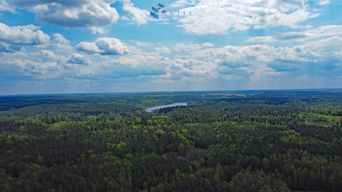 Działka budowlana na sprzedaż Ostrowin  3 003m2 Foto 15