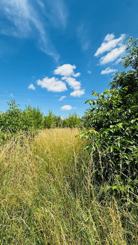 Dom na sprzedaż Pustynia  200m2 Foto 19