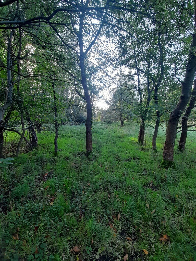 Działka budowlana na sprzedaż Wrocław, Kłokoczyce, Kłokoczyce  1 994m2 Foto 5