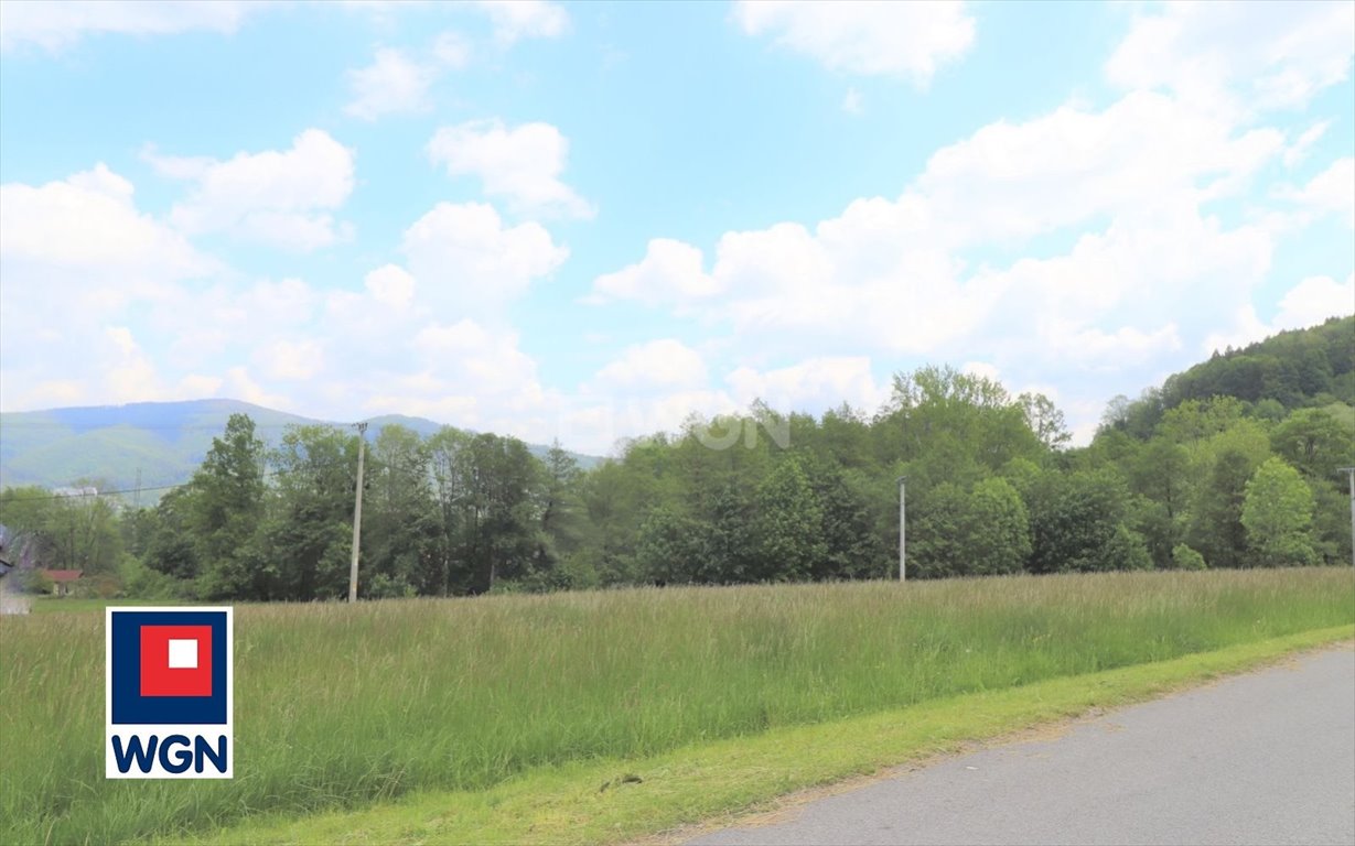 Działka budowlana na sprzedaż Ustroń, Brody  1 900m2 Foto 3