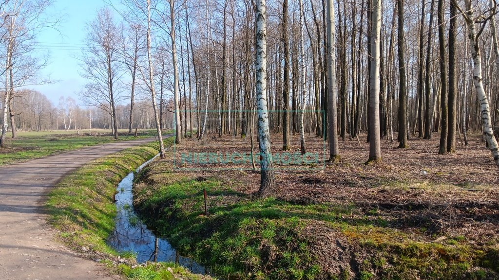 Działka leśna z prawem budowy na sprzedaż Jaktorów  8 700m2 Foto 19