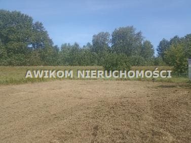 Działka budowlana na sprzedaż Sady  1 778m2 Foto 1