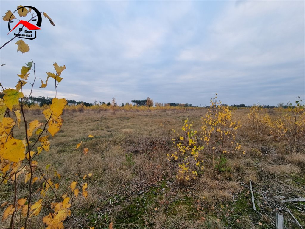 Działka leśna na sprzedaż Rzym  87 700m2 Foto 5