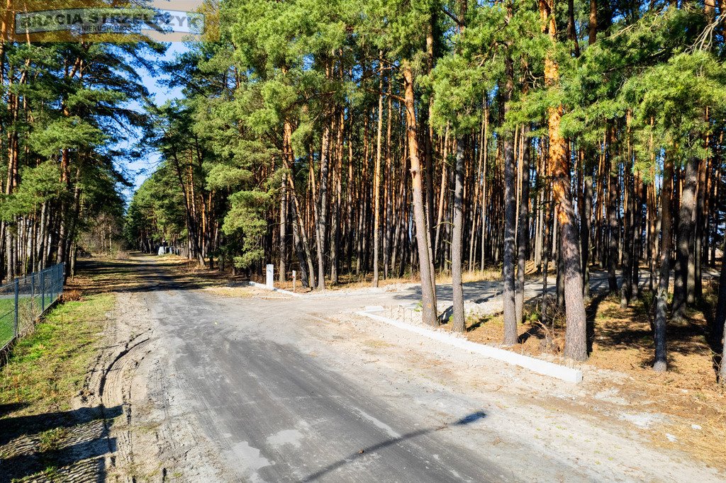 Działka z lasem, WZ, pozwolenie, 8 832 m² - zapraszam Górki  8 832m2 Foto 1