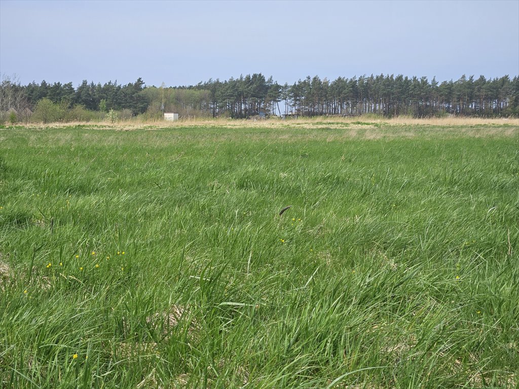 Działka inwestycyjna na sprzedaż Darłowo, Darłówko  10 000m2 Foto 5