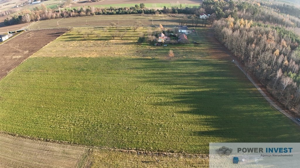 Działka budowlana na sprzedaż Powązki  9 700m2 Foto 6