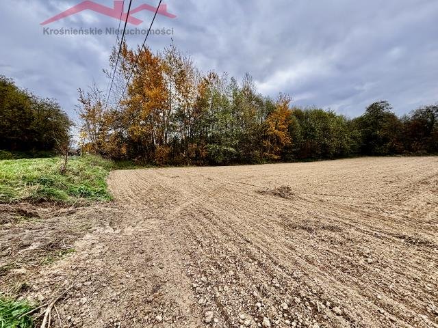 Działka budowlana na sprzedaż Chlebna  1 770m2 Foto 3