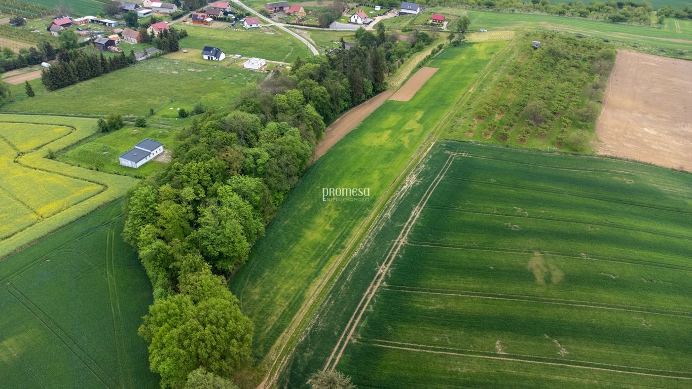 Działka inna na sprzedaż Taczów Wielki, Malinowa  1 176m2 Foto 2