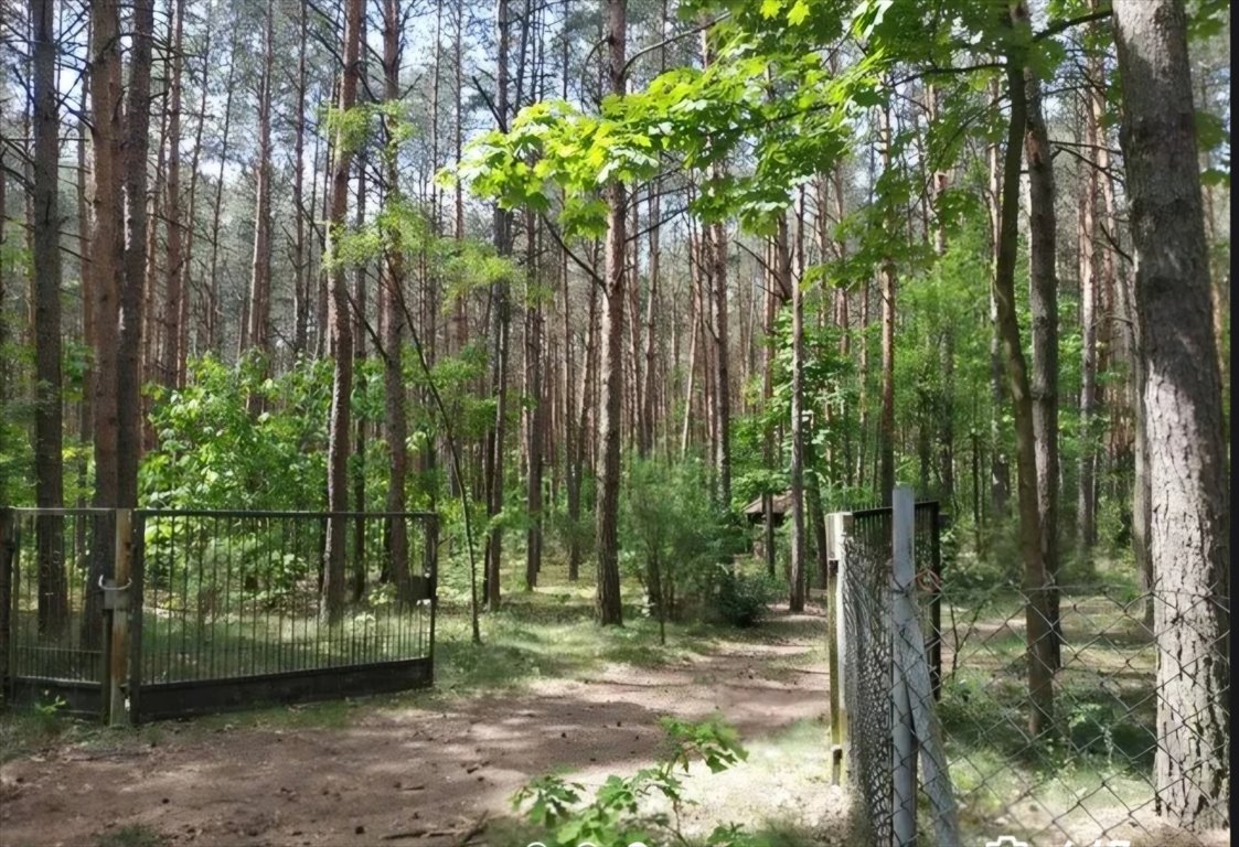 Sprzedam działkę 96 000 m² pod rekreację i dom w Siennicy Drożdżówka  96 000m2 Foto 1