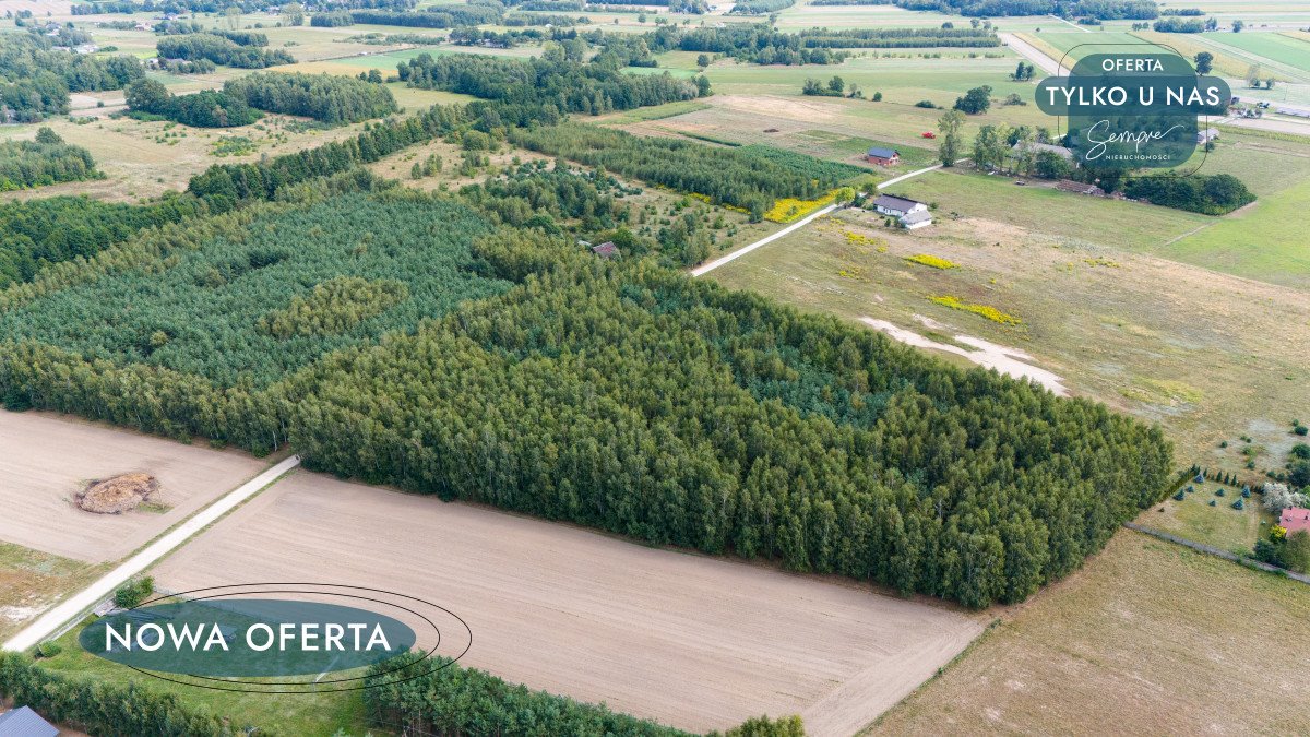 Działka budowlana na sprzedaż Rojków  1 350m2 Foto 11