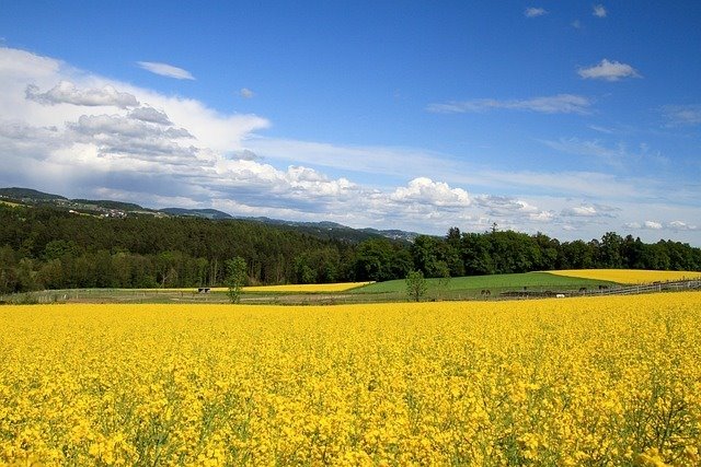 Teren inwestycyjny pod osiedle domów jednorodzinnych w Mysłowicach Mysłowice, Leśna  31 000m2 Foto 1
