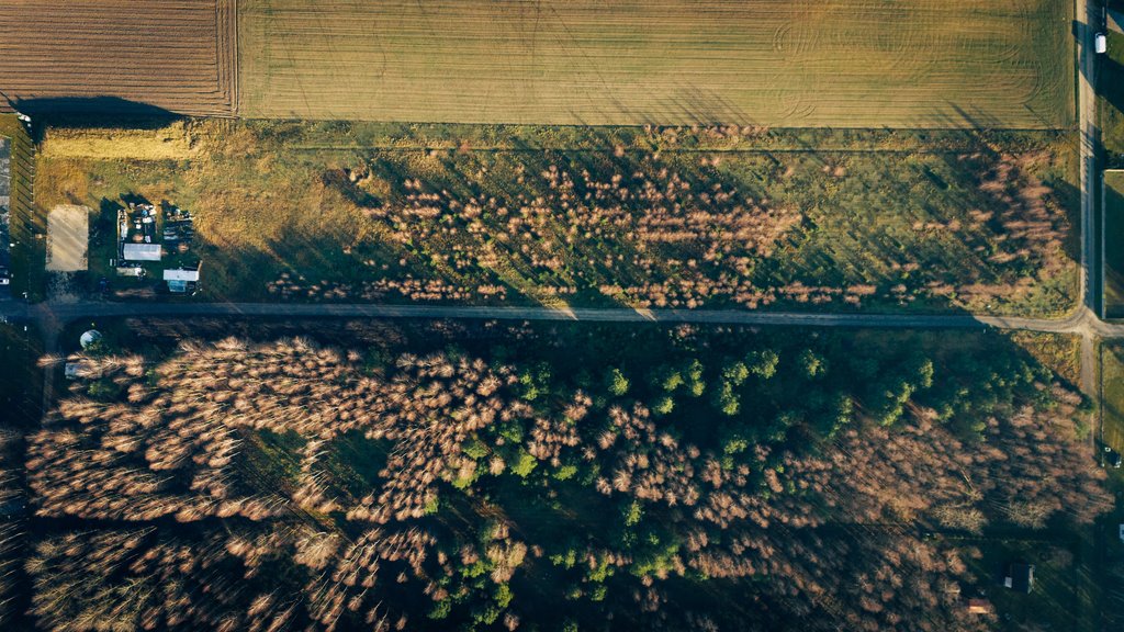 Działka budowlana na sprzedaż Konarzew  1 490m2 Foto 9