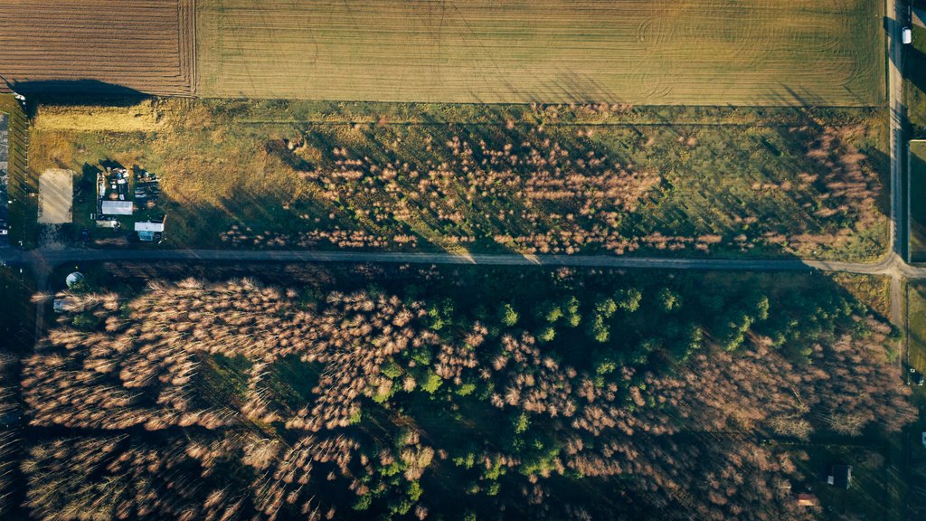 Działka budowlana na sprzedaż Piątek  1 490m2 Foto 9