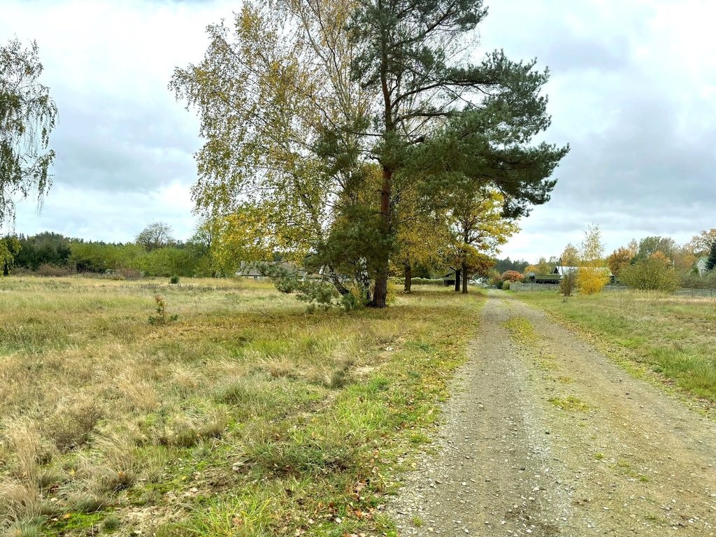 Działka budowlana na sprzedaż Brzózki  1 016m2 Foto 7