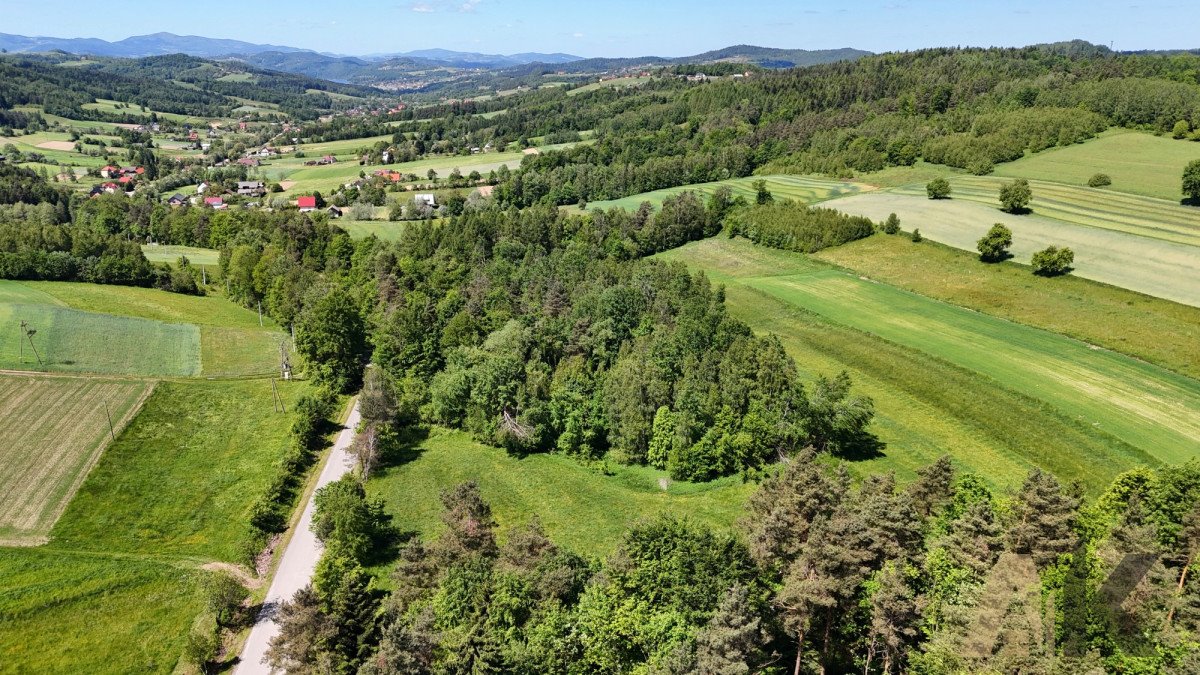 Działka budowlana na sprzedaż Podole-Górowa  4 000m2 Foto 10