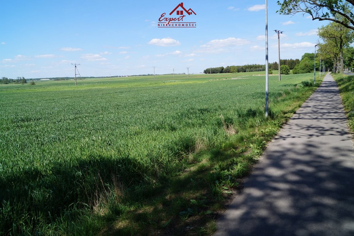 Działka budowlana na sprzedaż Kamień Duży  21 500m2 Foto 8