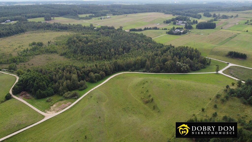 Działka leśna na sprzedaż Osinki  5 585m2 Foto 4