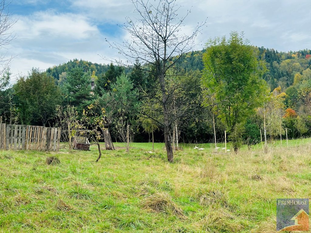 Działka budowlana na sprzedaż Kamienica  1 000m2 Foto 1