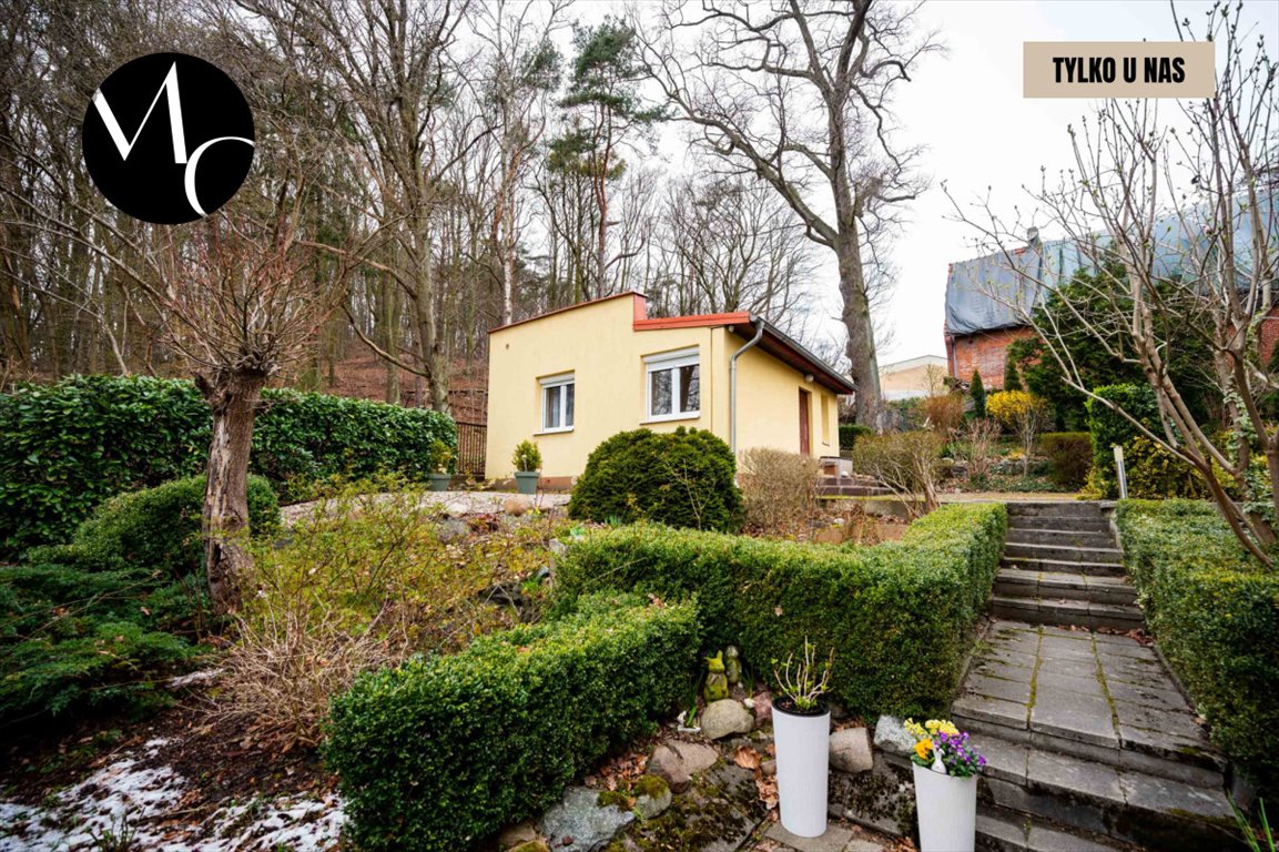 Lokal użytkowy na wynajem Gdańsk, VII Dwór, Witolda Doroszewskiego  32m2 Foto 1